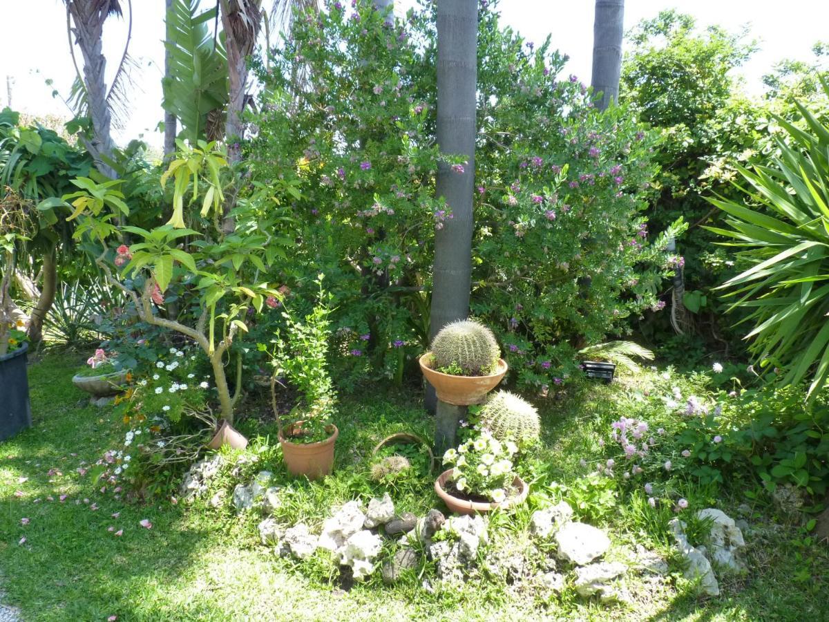 Holidaysora Taormina - Il Giardino Di Graziella Exterior photo
